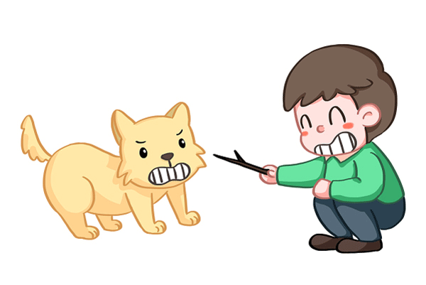 十大家长推荐!2025年11月合肥庐阳区保研培训好的学校在哪里十大排名值得关注排行榜