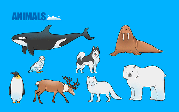 2026年安阳殷都区保研培训班那里好”