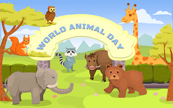 十大泸州江阳区管理会计培训机构要多少钱排行榜