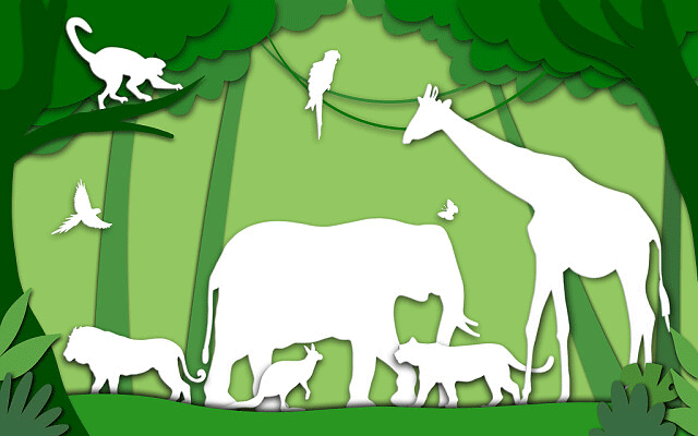 2026年潮州潮安区公共营养师辅导机构”