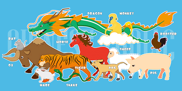 铜陵中级会计辅导机构在那里十大排名”