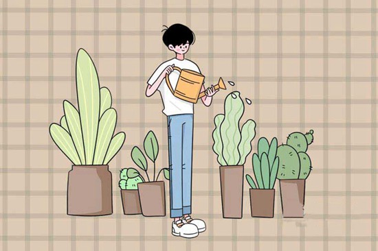 十大丹东振安区健康管理师培训班排行榜