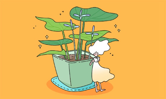 2026年宿迁宿豫区保研加分培训学校在那里名单更新汇总”